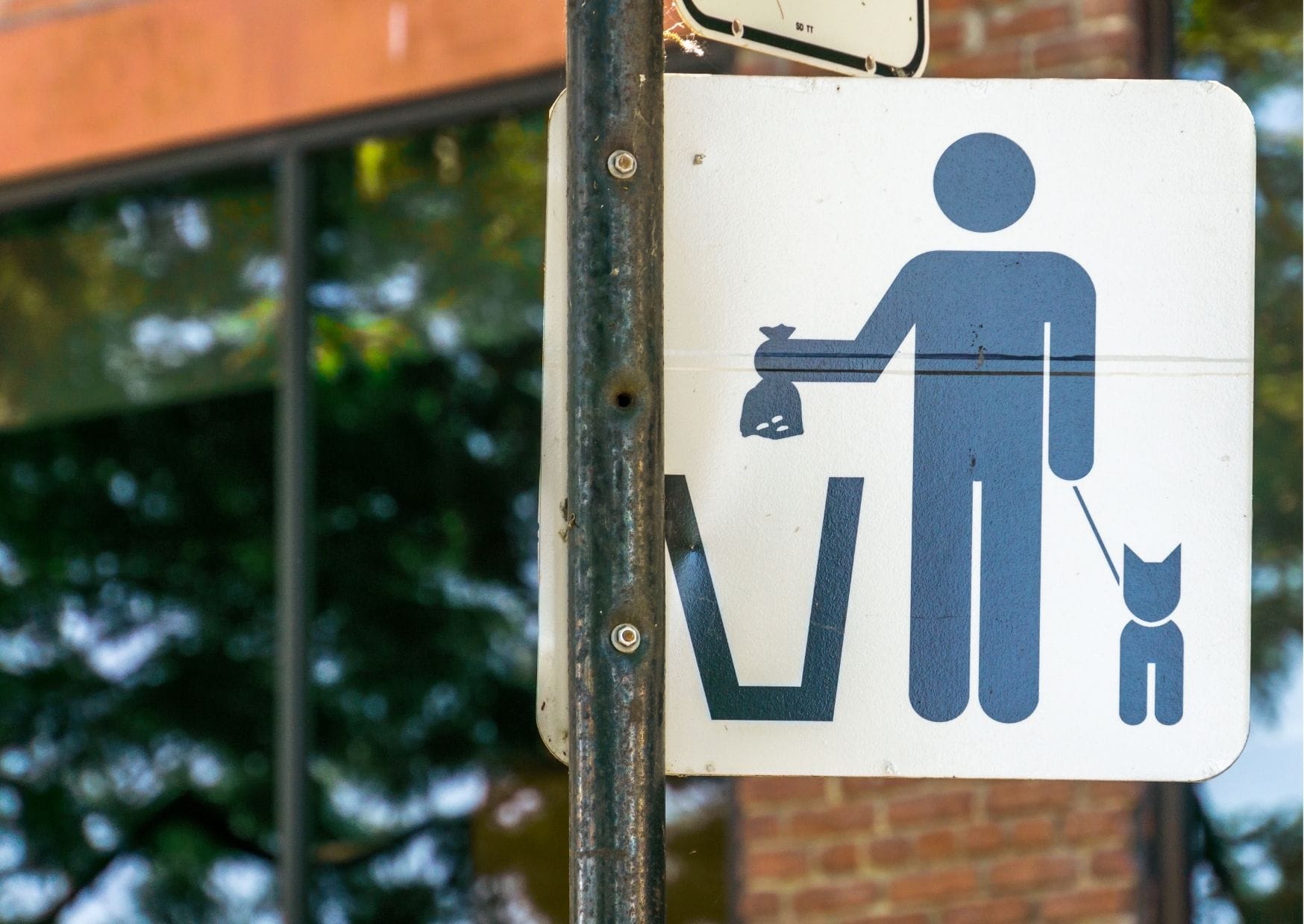 Nepobiranje pasjih kakcev